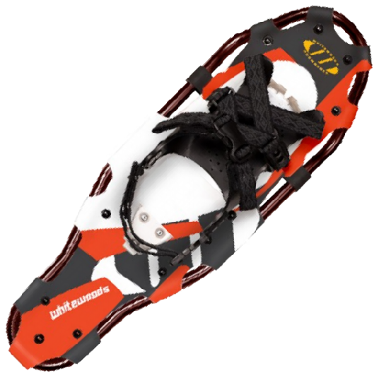 Lt Snowshoe
